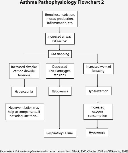 pathophysiology charts | See Asthma Pathophysiology Flowcharts 1 and 2- Asthma Pathophysiology, Pathophysiology Nursing, Np School, Asthma Remedies, Asthma Relief, Asthma Inhaler, Nursing Care Plan, Pulmonology, Respiratory Therapy