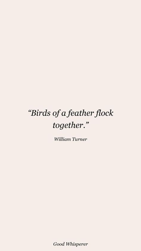 Birds Of A Feather Quote, Birds Of A Feather Flock Together Quote, Birds Of A Feather Flock Together, Xmas Paintings, Feather Quotes, Birthday Gathering, Ancient Egypt Pyramids, Storm Quotes, Egypt Pyramids