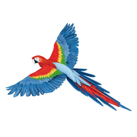 Wing Painting, Flying Parrot, Parrot Tattoo, Parrot Flying, Parrot Painting, Parrots Art, Paper Birds, Kinds Of Birds, Bird Artwork