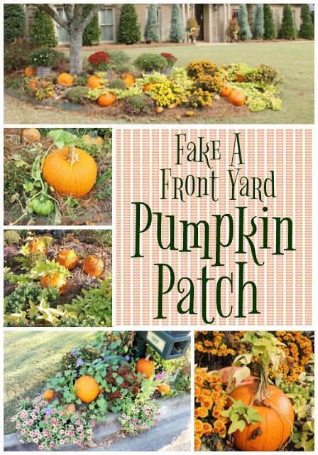 Fake a Front Yard Pumpkin Patch | Miss Kopy Kat Pumpkin Patch Ideas, Pumpkin Patch Diy, Pumpkin Patch Decoration, Pathways Garden, Fall Dec, Red Pumpkin, Trees For Front Yard, Best Pumpkin Patches, Red Pumpkins