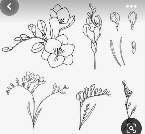 Freesia Tattoo, Freesia Flower, Zentangle Flowers, Freesia Flowers, Bestie Tattoo, Family Flowers, Petite Tattoos, Floral Drawing, Small Tattoo Designs