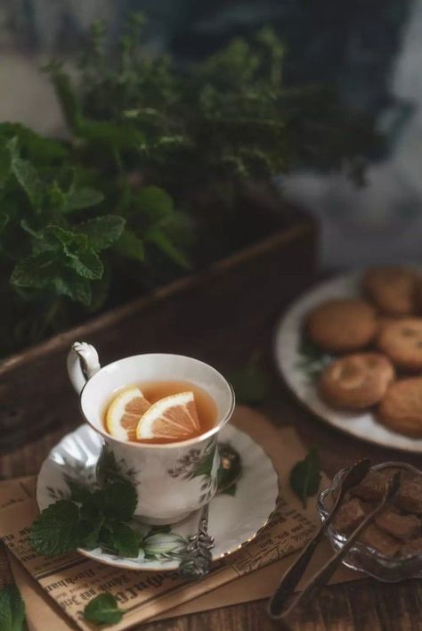 Tea Aesthetic, Cuppa Tea, Coffee Photography, Morning Tea, A Cup Of Tea, Tea Art, Coffee And Books, Hot Tea, Tea Shop