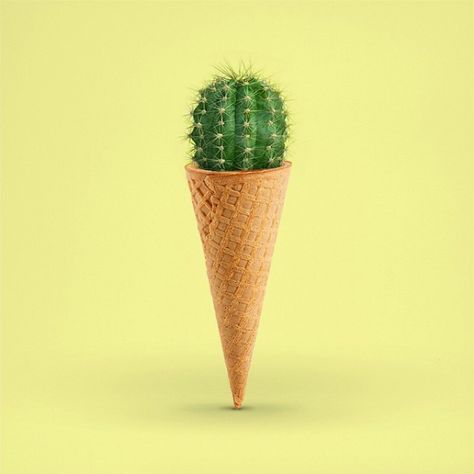 Venus Mcflytrap, Ice Cream Poster, Advertising Ideas, Minimalist Photos, Collage Art Projects, Cactus Art, Strange Things, Weird Stuff, Still Life Art