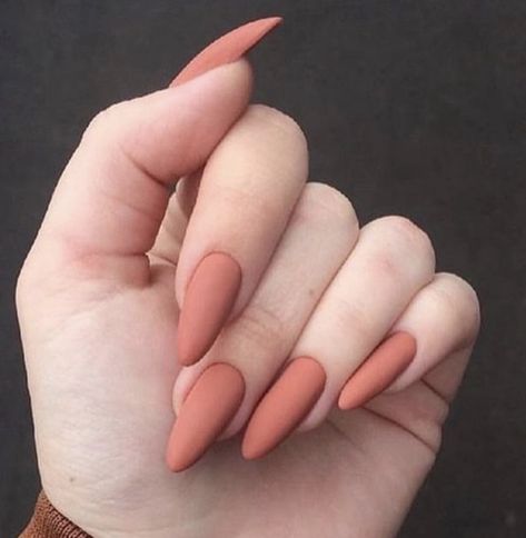 Fantastic Nails, October Nails, Fall Acrylic Nails, Soft Nails, Short Acrylic Nails Designs, Oval Nails, Neutral Nails, Classy Nails, Pretty Acrylic Nails