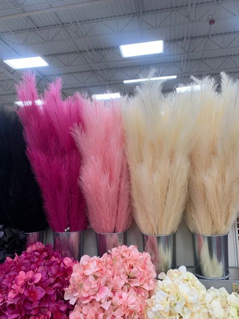 #bohohome#pampasgrass#michaelsstores Pampas Grass Decor Pink, Flower Arrangement With Pampas, Lash Room Decor Pink, Hot Pink Pampas, Pink Esthetician Room, Pink Pampas Grass Decor, Pink Lash Room, Pampas Grass Wall Decor, Pampas Wall Decor