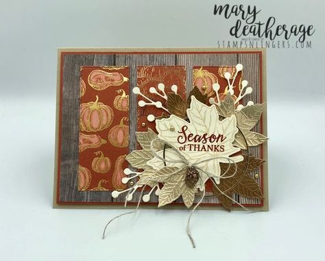 Fall Cards Handmade, Acetate Cards, Stampin Up Project, Gather Together, Fancy Fold Cards, Thanksgiving Cards, Some Cards, Fall Cards, Pretty Cards