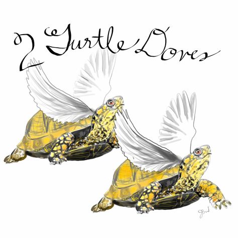 From thefrancofly.com's 12 Days of Christmas. 2 Turtle Doves. Turtle illustration. Digital watercolor. Humor. Christmas carol. 2nd Day Of Christmas, 2 Turtle Doves, Second Day Of Christmas, Two Turtle Doves, 12 Days Of Xmas, Turtle Doves, The 12 Days Of Christmas, Christmas Cards Kids, Christmas Jokes