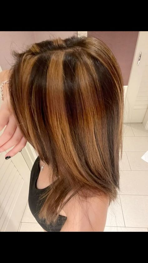 90s Chunky Highlights, Highlights Skunk, 2000s Hair, Colors For 2024, Skunk Hair, Chunky Highlights, Honey Brown Hair, Brown Hair Inspo, Hair Color Caramel