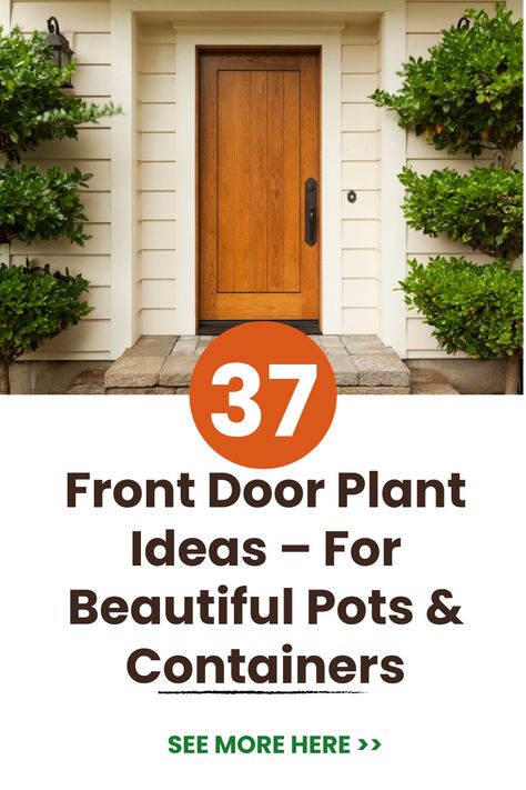 Welcome guests to your home in style with beautiful and easy front door plant decor! Potted plants add natural charm while creating an inviting entryway. Discover simple yet chic ways to display potted plants by your front door. Greenery in planters big and small makes a charming statement. #FrontDoorPlants #DoorDecor #EntrywayStyle #CurbAppeal #PorchPlants #PottedPlants #OutdoorDecor #HousePlants #FrontPorchIdeas #DoorDesign Front Door Plant, Grasses For Pots, Potted Plant Ideas, Front Door Greenery, Bamboo Plant Care, When To Plant Tulips, Big Leaf Plants, Front Door Plants, Citronella Plant