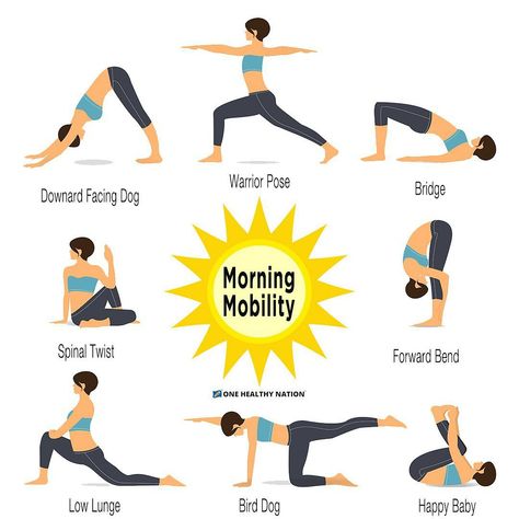 #mobility #yoga #goodmorning #stretching #flexibility #onehealthynation Simple Routine, 5am Club, Warrior Pose, Early Morning Workouts, Happy Mood, Mushroom Coffee, Perfect Morning, Stretching Exercises, Coffee Company