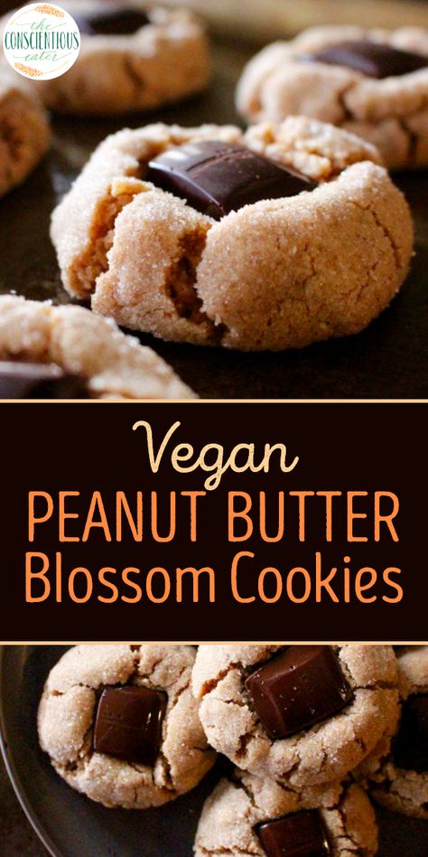 Enjoy a delicious dairy free and egg free version of your favorite childhood treat with these Vegan Peanut Butter Blossoms! With a sugar-coated peanut butter cookie base and a dark chocolate center, these cookies will be gobbled up in no time! #peanutbutterblossoms #blossomcookies #vegancookies #veganchristmascookies #peanutbuttercookies via theconscientiouseater.com Vegan Peanut Butter Blossoms, Vegan Bakes, Peanut Butter Blossom, Butter Blossoms, Vegan Christmas Cookies, Vegan Peanut Butter Cookies, Peanut Butter Blossom Cookies, Vegan Baking Recipes, Vegan Cookies Recipes