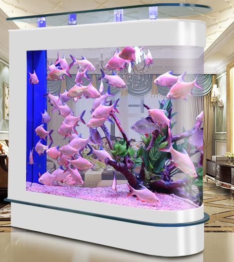 Large Fish Tank, Unique Fish Tanks, Large Fish Tanks, Glass Fish Bowl, Saltwater Fish Tanks, Fish Activities, Aquarium Stand, Aquarium Air Pump, Fish Tank Accessories