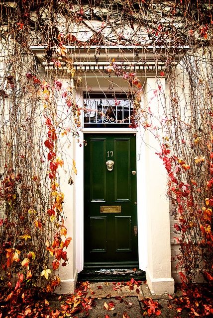 Wonderful view of the autumn from an entry door Vine Arch, Coloured Doors, Green Front Door, Green Front Doors, Arch Doorway, Front Door Paint Colors, Domestic Bliss, Porch Doors, Entry Ways