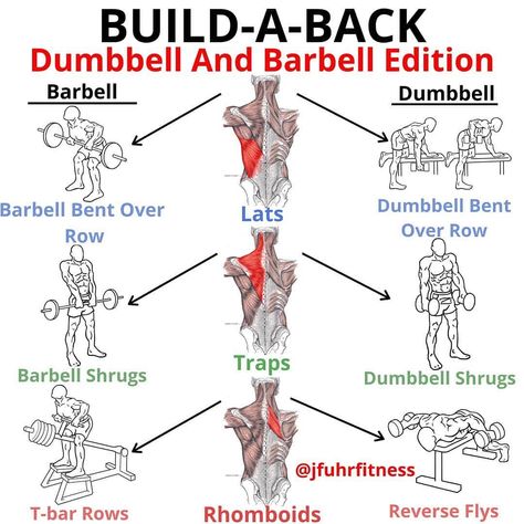 Fit Moral™ | Fitness on Instagram: “BUILD-A-BACK Dumbbell and Barbell edition/cable and dumbbell edition for the teres major/minor by me (@jfuhrfitness) - First things first…” Back Workout Bodybuilding, Back Workout Men, King Warrior, Traps Workout, Gym Antrenmanları, Muscle Abdominal, Gym Workout Chart, Gym Workouts For Men, Gym Tips