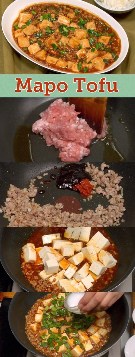 Mapo Tofu Recipe (Chinese Sichuan dish with Tofu and Ground Pork) Ground Pork And Tofu Recipe, Chinese Dishes Traditional, Pork Tofu Recipe, Chinese Tofu Recipes, Asian Thanksgiving, Japan Cooking, Chinese Delicacies, Mapo Tofu Recipe, Traditional Chinese Food