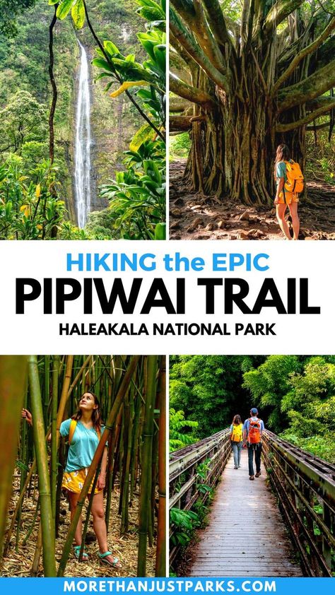 Interested in hiking the Pipiwai Trail on Maui? We've got you covered! pipiwai trail, waimoku falls, hiking the pipiwai trail, haleakala national park, pipiwai trail maui, pipiwai trail hawaii, best hikes maui, best hikes haleakala national park, things to do haleakala national park, pipiwai banyan tree, banyan tre maui Hawaii National Parks, Hana Highway, National Park Camping, Haleakala National Park, National Parks Photography, Maui Travel, Largest Waterfall, Road To Hana, Hiking National Parks