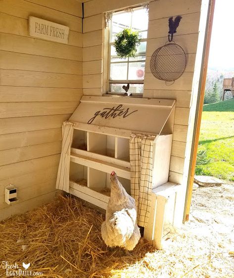 Clean Chicken Coop, Livestock Animals, Urban Chicken Farming, Easy Chicken Coop, Hobby Farming, Clean Chicken, Portable Chicken Coop, Diy Chicken Coop Plans, Chicken Keeping