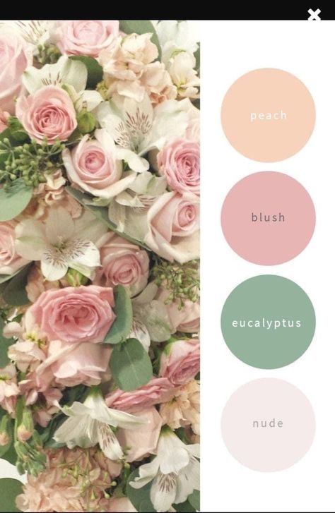 Peach Pink Green Color Palette, Flower Color Palette Colour Schemes, Pink Green Color Palette, Flower Color Palette, Coastal Home Interior, Colour Shade Card, Peach Color Palettes, Home Interior Inspiration, Rose Bedroom