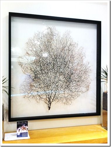 DIY Sea Fan Art by Sand & Sisal. This tutorial will save you several hundred dollars! Sea Fan Art, Spiegel Diy, Coral Wall Art, Fan Coral, Sea Fan, Coral Walls, Coral Art, Metal Tree Wall Art, Casa Vintage