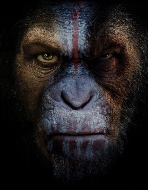 Plant Of The Apes, Dawn Of The Planet, Creation Art, Great Ape, Work Art, Tableau Design, Gary Oldman, Planet Of The Apes, Planet Fitness Workout