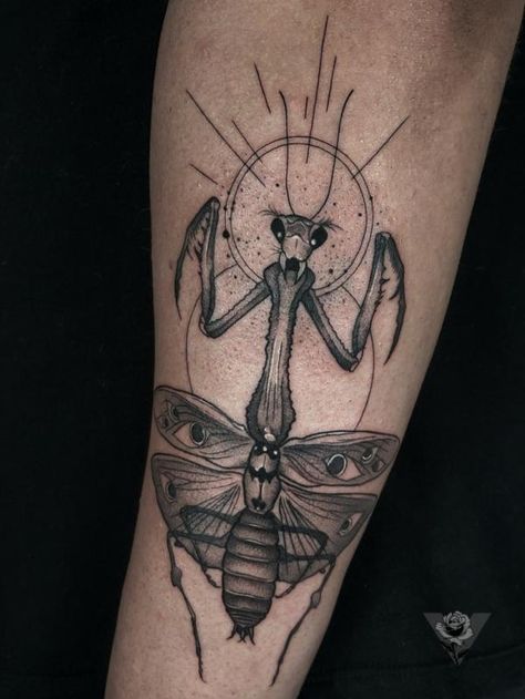 Blackwork praying mantis tattoo White Praying Mantis, Praying Mantis Tattoo, Mantis Tattoo, Nature Tattoo Sleeve, Bug Tattoo, Praying Mantis, Sun Tattoo, Tattoo Meaning, Nature Tattoos