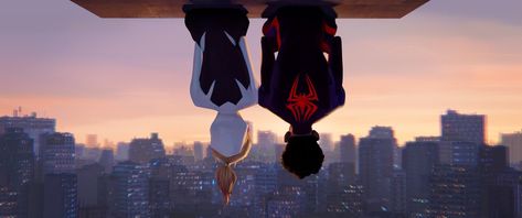 Spiderman Across The Spider Verse Macbook Wallpaper, Across The Spider Verse Wallpaper Desktop, Spiderverse Wallpaper Computer, Spider Gwen Pc Wallpaper, Miles Morales Macbook Wallpaper, Macbook Wallpaper Spiderverse, Spiderverse Macbook Wallpaper, Spider Man Wallpaper Macbook, Spider Man Across The Spider Verse Wallpaper Pc