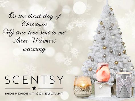 Scentsy Hacks, Holiday Gifts 2022, Scentsy Gifts, Scentsy Christmas, Scentsy Consultant Business, Scentsy Posts, Scentsy Games, Scentsy Facebook, 12 Days Of Xmas