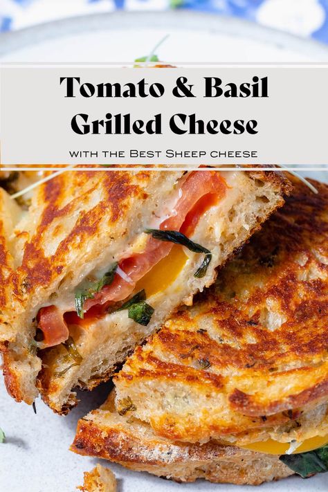 This Heirloom Tomato Grilled Cheese with Fresh Basil is the ultimate summer grilled cheese made with fresh juicy heirloom tomatoes and fresh basil. A Caprese Salad in the form of a grilled cheese sandwich! This sandwich is easy to make and requires only a handful of simple ingredients. Totally fuss-free and always a hit. This recipe is vegetarian and can easily be made vegan too. It's so good, I promise you'll love it! #grilledcheese #heirloomtomatoes Tomato Grilled Cheese Sandwiches, Poolside Sandwiches, Porch Hangout, Tomato Basil Grilled Cheese, Basil Grilled Cheese, Tomato Grilled Cheese, Paleo Sandwich, Grilled Cheese With Tomato, Grilled Sandwiches