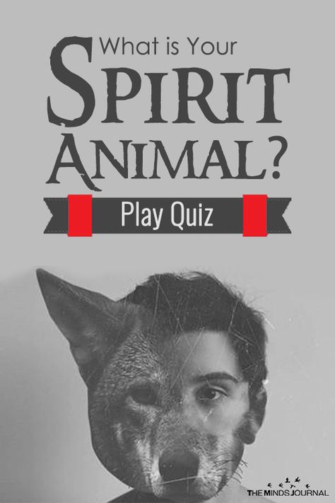 Spirit Animal Test, Spirit Animal Quiz, Whats Your Spirit Animal, Find Your Spirit Animal, Rune Reading, Animal Quiz, Play Quiz, Spiritual Animal, Animal Spirit Guides