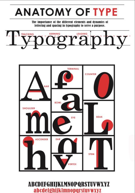 Anatomy Of Type Poster, Typography Anatomy Poster, Type Layout Design, Types Of Typography, Font Anatomy, Anatomy Of Type, Anatomy Of Typography, Type Anatomy, Type Specimen Book