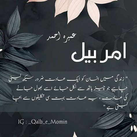 Amarbail Novel Book, Amarbail Novel, Jihan Sikandar, Novels Lines, Novels Quotes, Egg Benefits, Novelist Quotes, Romantic Novels To Read, Novel Quotes