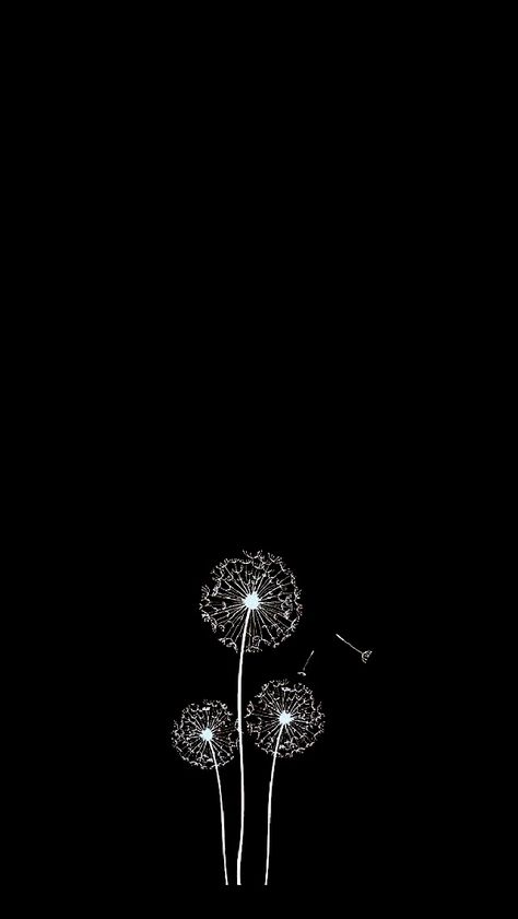 Cute Black Wallpaper, Black Phone Wallpaper, Dark Phone Wallpapers, Black And White Flowers, Black Wallpaper Iphone, Dark Wallpaper Iphone, 背景 シンプル, Black And White Wallpaper, Minimalist Wallpaper