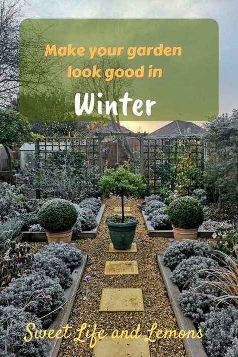 Make your garden look good in winter Lots Of Plants, Winter Vegetables Gardening, Winter Gardening, Sun Loving Plants, Garden Pests, Garden Boxes, Climbing Plants, Gardening Tools, Garden Soil