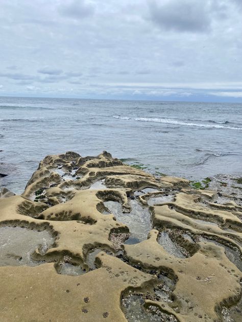 california tide pools la jolla cloudy beach Tide Pools Aesthetic, Pools Aesthetic, Travel Therapy, Cloudy Beach, California Aesthetic, Tide Pool, Tide Pools, La Jolla, Digital Magazine