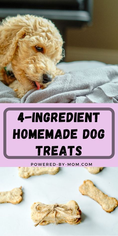 Homemade Dog Cookies, Dogs Treats, Dog Treats Homemade Easy, Easy Dog Treat Recipes, Dog Biscuit Recipes, Easy Dog Treats, Healthy Dog Treats Homemade, Dog Room, Dog Treats Homemade Recipes