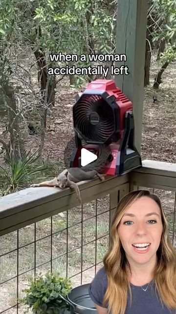 jenn 💜 good news & fun stories 🥰 on Instagram: "A woman in Texas left a fan running on her back porch, and a squirrel quickly took notice. 🐿️  When she saw the squirrel splooting in front of the fan, she knew she needed to do something for all of the other local squirrels who would be trying to beat the heat. ❤️  Her backyard Squirrel Resort is now open year-round, complete with several cooling fans in the summer. 🏨  See more of the squirrel resort on Bree’s page: @breeintheforest   📸 breeintheforest  #squirrel #squirreleating #squirreltiktok #squirrelsoftiktok #wildsquirrel #cuteanimals #goodnews" Squirrel Splooting, Squirrel Funny Hilarious, Funny Squirrel Videos, Squirrels Funny, Squirrel Humor, Funny Squirrel Pictures, Squirrel Video, Dog Haircut, Squirrel Hunting