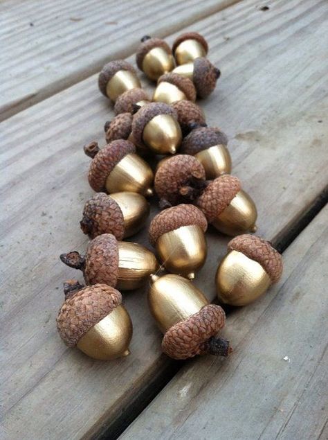 DIY Fall Decor: Gold acorns. Clean and oven dry for several hours to ensure they are pest free. Acorns naturally fall out of the caps when ripe, so after they are oven dried and painted, use a hot glue gun to attach all the acorns to the caps. Finish them by adding a layer of clear shellac giving them a shiny look.: Fall Room Decor, Acorn Crafts, Noel Diy, Autumn Decorating, Navidad Diy, Wrapping Ideas, Noel Christmas, Fall Decor Diy, Fall Diy