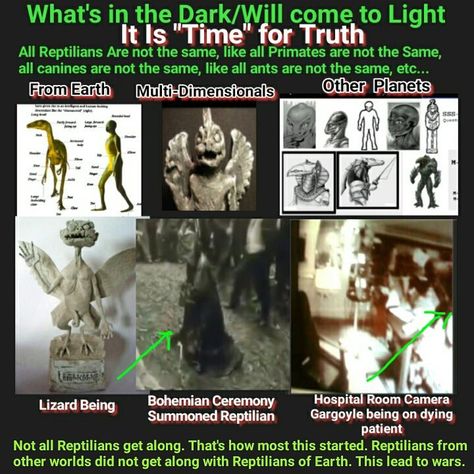 Reptilians People, Reptilian Shapeshifter, Starseed Art, Reptilian Alien, Reptilian People, Spiritual Education, Types Of Aliens, Bible Evidence, Alien Videos