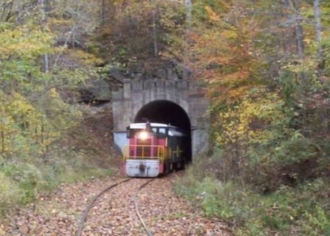 11. Enjoy a fall foliage scenic train ride Travel Indiana, Indiana Vacation, Indiana Beach, Westfield Indiana, French Lick, Scenic Train Rides, Indiana Travel, Southern Indiana, Scenic Travel