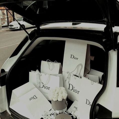 Luxury Birthday Gifts, Dior Girl, Luxury Lifestyle Girly, Wealthy Lifestyle, Luxury Lifestyle Women, Rich Money, Rich Girl Lifestyle, Rich Lifestyle, Luxury Lifestyle Dreams