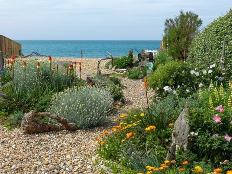 Beach Theme Garden, Beach House Garden, Seaside Garden, Beach Themed Bedroom, Seaside Theme, Coastal Gardens, Beautiful Outdoor Spaces, Garden Cafe, Mediterranean Garden