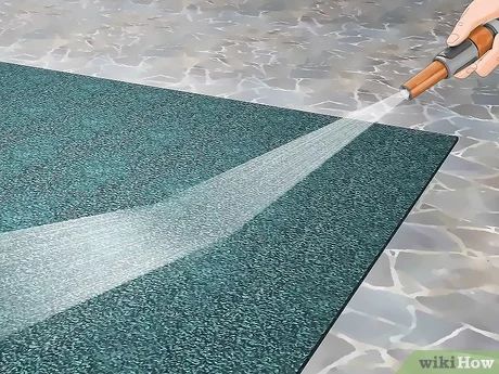 How to Clean an Indoor/Outdoor Carpet: 14 Steps (with Pictures) Indoor Outdoor Carpet, Carpets And Rugs, Types Of Carpet, Outdoor Carpet, Front Porch, Rugs On Carpet, Porch, Indoor Outdoor, Carpet