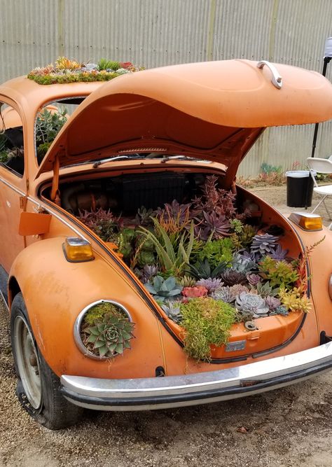 Car Garden, Volkswagen Beetle Flower Rims, Vw Beetle Flower Vase, Vintage Car With Flowers, Vw Beetle Flower, Car Vase, Volkswagon Bug Aesthetic, Car Yard, Flower Car