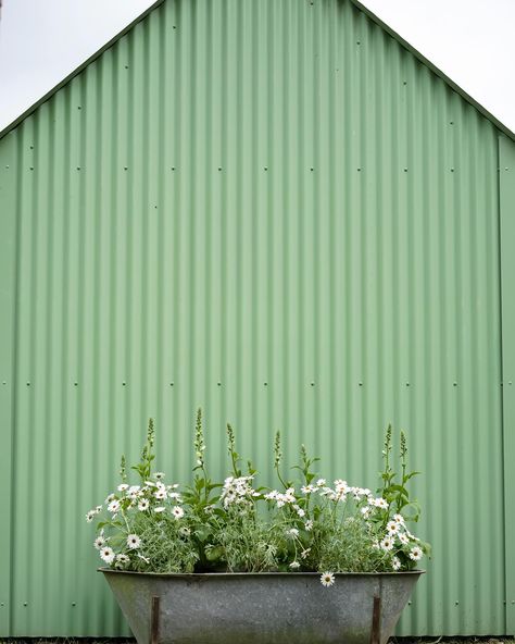 We love corrugated steel for its durability. Your roofs and walls will always be galvanised or powder-coated making them heat, water, and rust-resistant. With its unrivalled recyclable properties and low environmental impact, it’s our preferred choice of material and makes for the perfect shell 🐢 Corrugated Steel, Corrugated Roofing, House Garden, Environmental Impact, Powder Coating, Always Be, Tiny House, Roof, Recycling