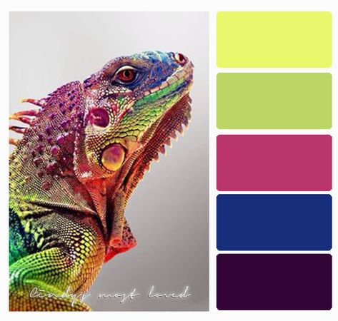 Color Palette colorful animal Animal Color Palettes, Color Palette Colorful, Paint Color Combos, Chameleon Color, Color Palette Challenge, Color Schemes Colour Palettes, Color Palate, Color Balance, Color Inspo