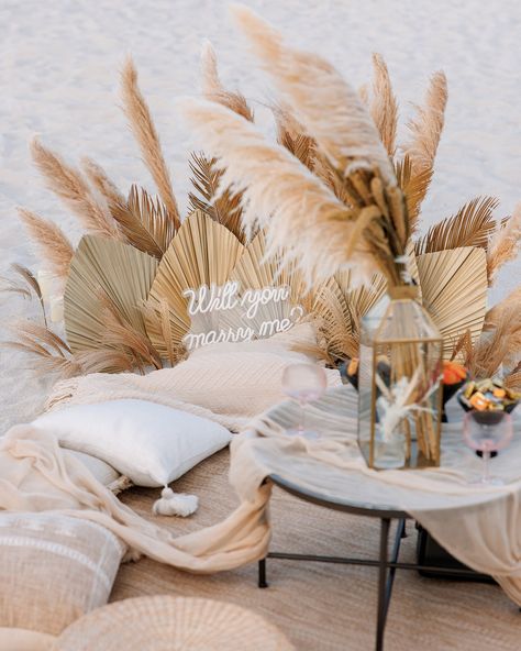 We are excited to share our beautiful Boho-style marriage proposal setup with you. To place an order, simply DM us or call +17867410112. Photo by @john_simon_photographer Location Miami Beach 🏝️ #miamiproposal #proposal #proposalideas #proposalsetup Proposal Setup, Salon Openings, Marriage Proposal, Place An Order, Bohemian Beach, Marriage Proposals, Grand Opening, Miami Beach, Boho Style