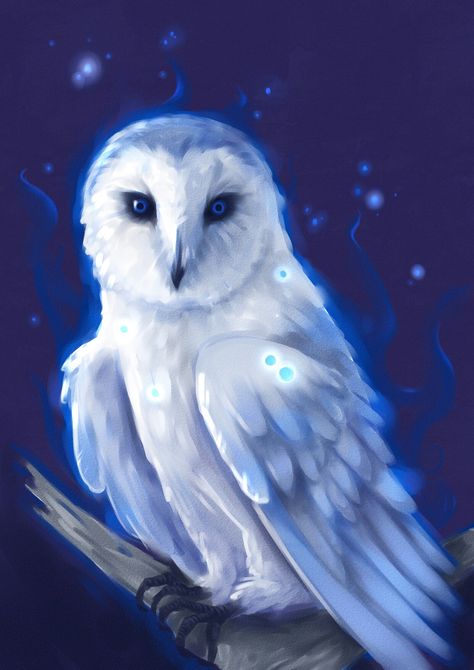 Ghost Owl, Fantasy Creatures Mythology, Fantasy Moon, Cute Owls Wallpaper, Elf Characters, Owl Wallpaper, Owl Photos, Beautiful Owl, Anime Wolf