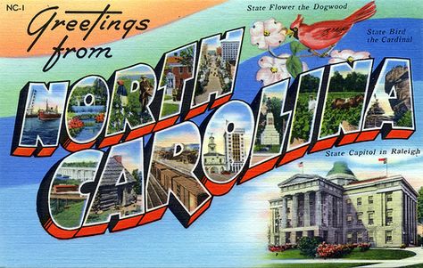 Front Royal Virginia, North Carolina Art, State Birds, Travel Postcard, Big Letters, Spring Lake, Palm Beach Florida, Island Art, Fort Wayne