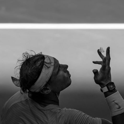 Rafael Nadal Photo Wins the 2024 Australian Photographic Prize Beautiful Dogs Photos, Winning Photography, Award Winning Photography, Prize Winning, Photo Competition, Photography Courses, Australian Open, Rafael Nadal, Photography Awards