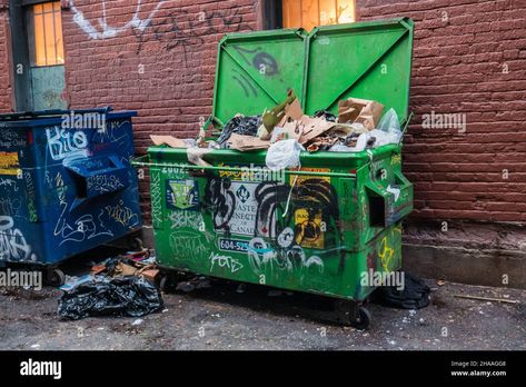 Download this stock image: garbage in a dumpster back alley vancouver canada - 2HAAGG8 from Alamy's library of millions of high resolution stock photos, illustrations and vectors. Dumpster Reference, Back Alley, Garbage Dumpster, Trash Dump, Life Drawing Reference, Dumpsters, Person Sitting, Vancouver Canada, Art Inspiration Painting